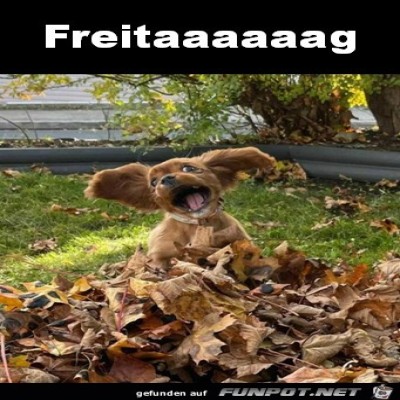 Freitag.jpg von Jonah