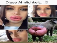 Verblüffende Ähnlichkeit