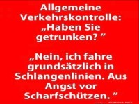 Verkehrskontrolle