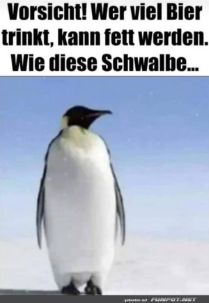 Pinguin-Warnung:-Bier-macht-dick!.jpg auf www.funpot.net