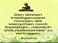 den letzten intelligenztest