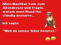 Der Teller-Detektiv Hund