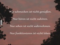 Lebensweisheiten fr den Alltag