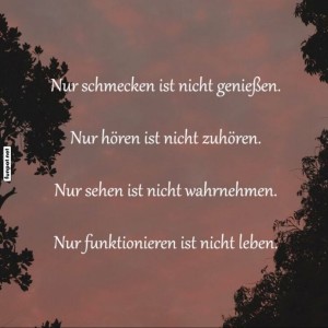 herz-Bild: Lebensweisheiten für den Alltag