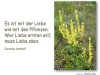weiter