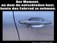 Wenn das Auto zur Spinnenhhle wird