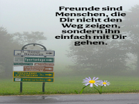 freunde sind menschen