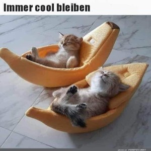 Immer-cool-bleiben.jpg von Carlo2006