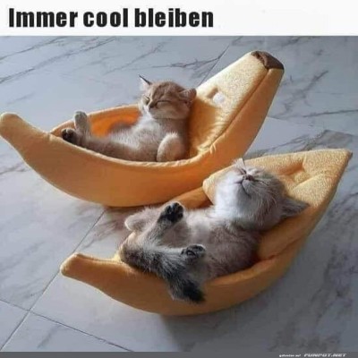 Immer-cool-bleiben.jpg von Carlo2006