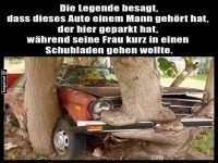 Wenn B�ume Autos umarmen