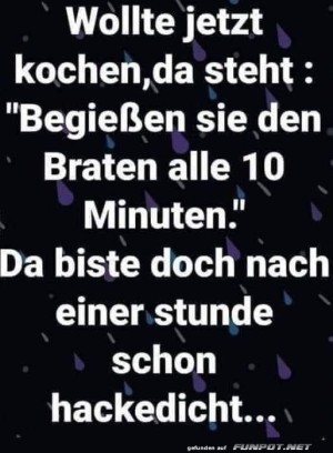 Der-Braten-Party-Fehler.jpg auf www.funpot.net