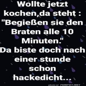 Der-Braten-Party-Fehler.jpg von Felia-51