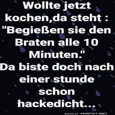 Der-Braten-Party-Fehler.jpg von Felia-51