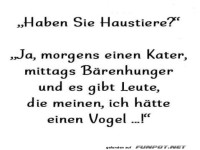 Der ultimative Haustier-Mix