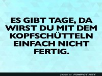 Wenn Kopfsch�tteln zum Marathon wird