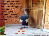 487006 501197499914435 1022532292 n