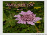 Wenn wir keine Fehler hätten...