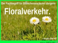Bl�mchen