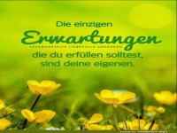 Die einzigen Erwartungen