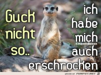 Guck nicht so