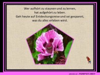 Wer aufhoert zu staunen