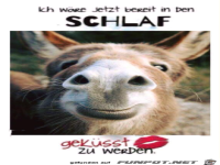 Bin ich auch immer