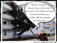 Etwas zu gro� der Baum