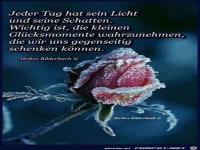 jeder tag hat sein licht