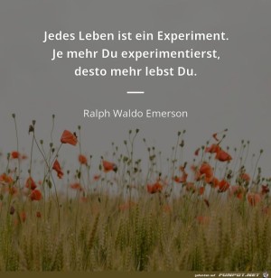 jedes-Leben-ist-ein-Experiment.jpg auf www.funpot.net