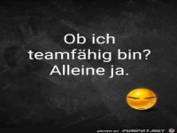 Bist du teamfhig?