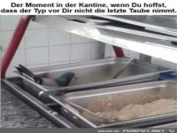 Es gibt Taube zum Mittagessen