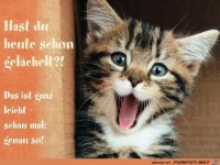 Heute schon gel�chelt?