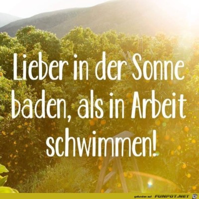 In-der-Sonne-baden.jpg von SauLustig