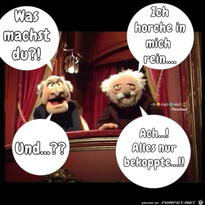 Alles-nur-bekloppte.jpg von Bonobo666