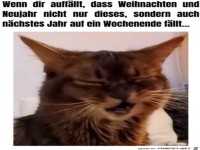 Was f�r ein �rger