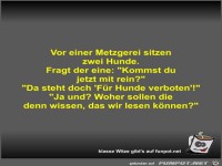 Vor einer Metzgerei sitzen zwei Hunde