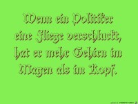 fliege verschluckt
