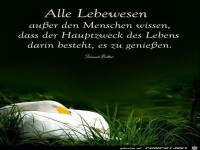 Alle Lebewesen