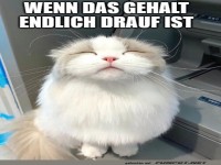 Freude ber das Gehalt