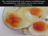 Ei mit vierfachem Dotter