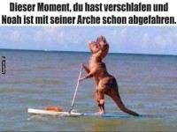 Dino Paddleboard-Sprint zu Noahs Arche