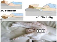 Meisterklasse im Schlaf-Stretching!