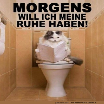 Ich-will-meine-Ruhe.jpg von Roger05