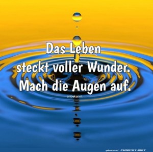 herz-Bild: Wassertropfen-Weisheiten: Augen auf!
