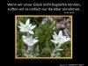 weiter