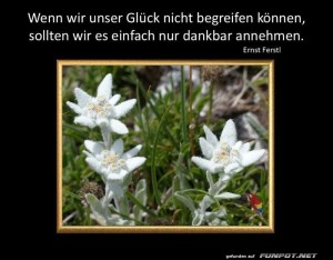 Wenn-wir-unser-Glück.jpg auf www.funpot.net