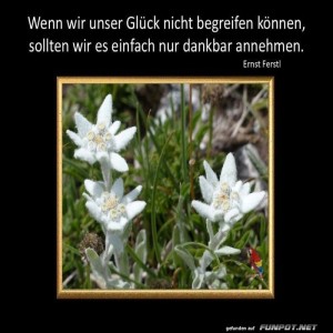 Wenn-wir-unser-Glück.jpg von Sirene