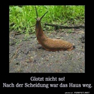 So-schnell-geht-das.jpg von Sahneschnitte