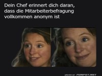 Der Chef und das anonyme Fragebogen-M�rchen