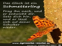 -glueck-das-glueck-ist-ein-schmetterling